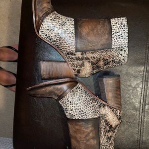 freebird by steven joey